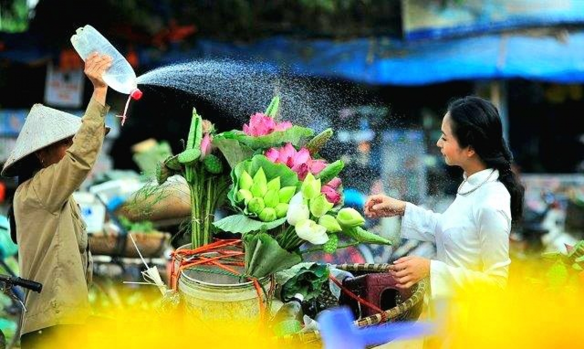 Vietnam heritage sites: Discover the cultural and natural wonders of a timeless land
