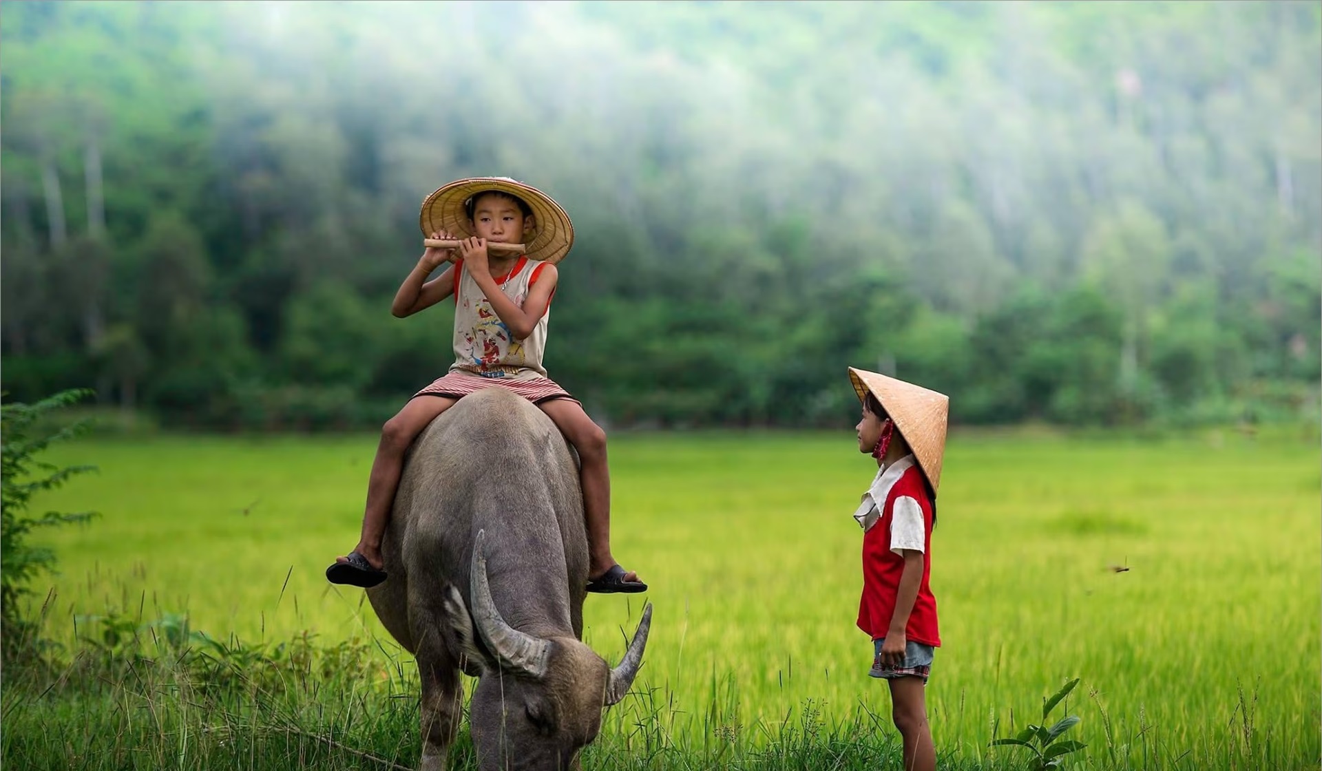 Vietnamese poetry: A journey through Vietnam’s soul and literary spirit